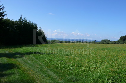 Prodej stavebního pozemku 1 000m2, obec Zádub - Závišín - Fotka 2