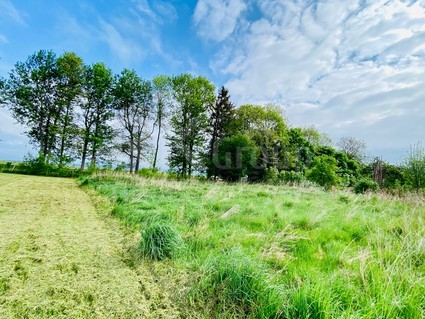 Prodej stavebního pozemku o výměře 812m2, Chodský Újezd - Fotka 1