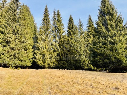Prodej stavebního pozemku, 406 m2, Lázně Kynžvart - Lazy  - Fotka 1