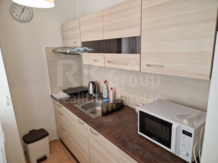 Pronájem bytu 1+kk/L, 27 m2, Slaný, Šultysova ul. - Fotka 3