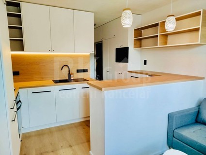 Pronájem světlého bytu 1+1, 36m2, sklep, 1. patro, ul. Mánesova - Mariánské Lázně - Fotka 1