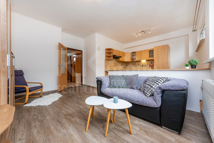 Pronájem 2+kk, 47 m2, Praha 7 - Holešovice - Fotka 13