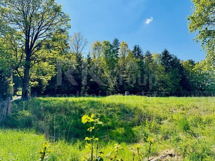 Prodej, stavební pozemek u lesa, 3 100 m², Tři Sekery - Chodovská Huť, okres Cheb - Fotka 8