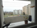 Fotka 19