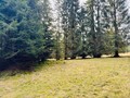 Fotka 7