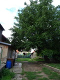 Fotka 31