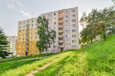 Prodej bytu 2+1, 59 m2, OV, ul. Dřevařská Cheb. 