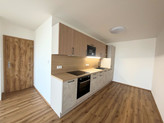 3+kk, 62 m2 s lodžíí a sklepní kójí, po rekonstrukci,  Praha 4 - Chodov, ul. Jažlovická
