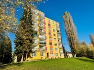 Pronájem světlého bytu 2+1 s lodžií a sklepem,…
