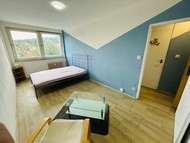 Pronájem světlého bytu 1+1, 30 m2 s pěkným …