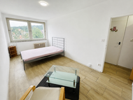 Pronájem světlého bytu 1+1, 30 m2 s pěkným …